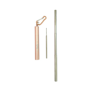 One set of Reusable Collapsible Straw with Case and Cleaning Brush - Mermaid