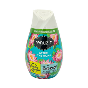 One unit of Renuzit Gel Air Freshener - After Rain