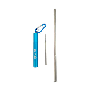 One set of Reusable Collapsible Straw with Case and Cleaning Brush - Shells