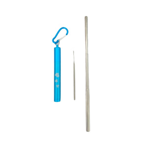 One set of Reusable Collapsible Straw with Case and Cleaning Brush - Turtle