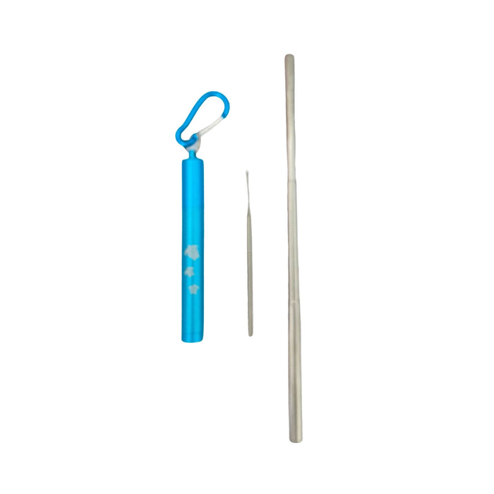 Reusable Collapsible Straw with Case and Cleaning Brush - Turtle