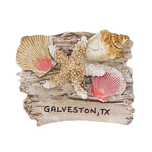 Shells on Driftwood - Galveston - Magnet