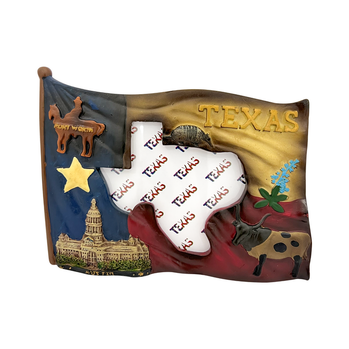 Texas Flag Map Picture Frame